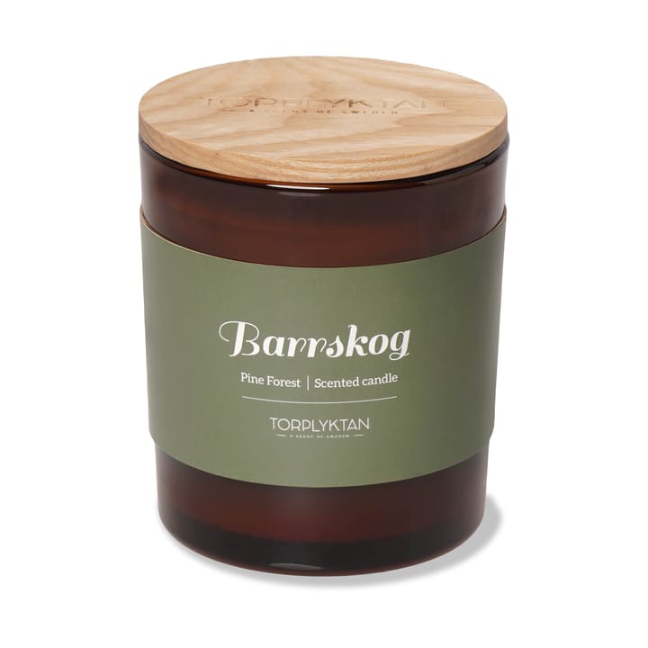 Northern woods 香薰蜡烛 310 g, Pine Forest Torplyktan