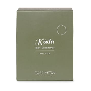 Northern woods 香薰蜡烛 310 g - Resin - Torplyktan