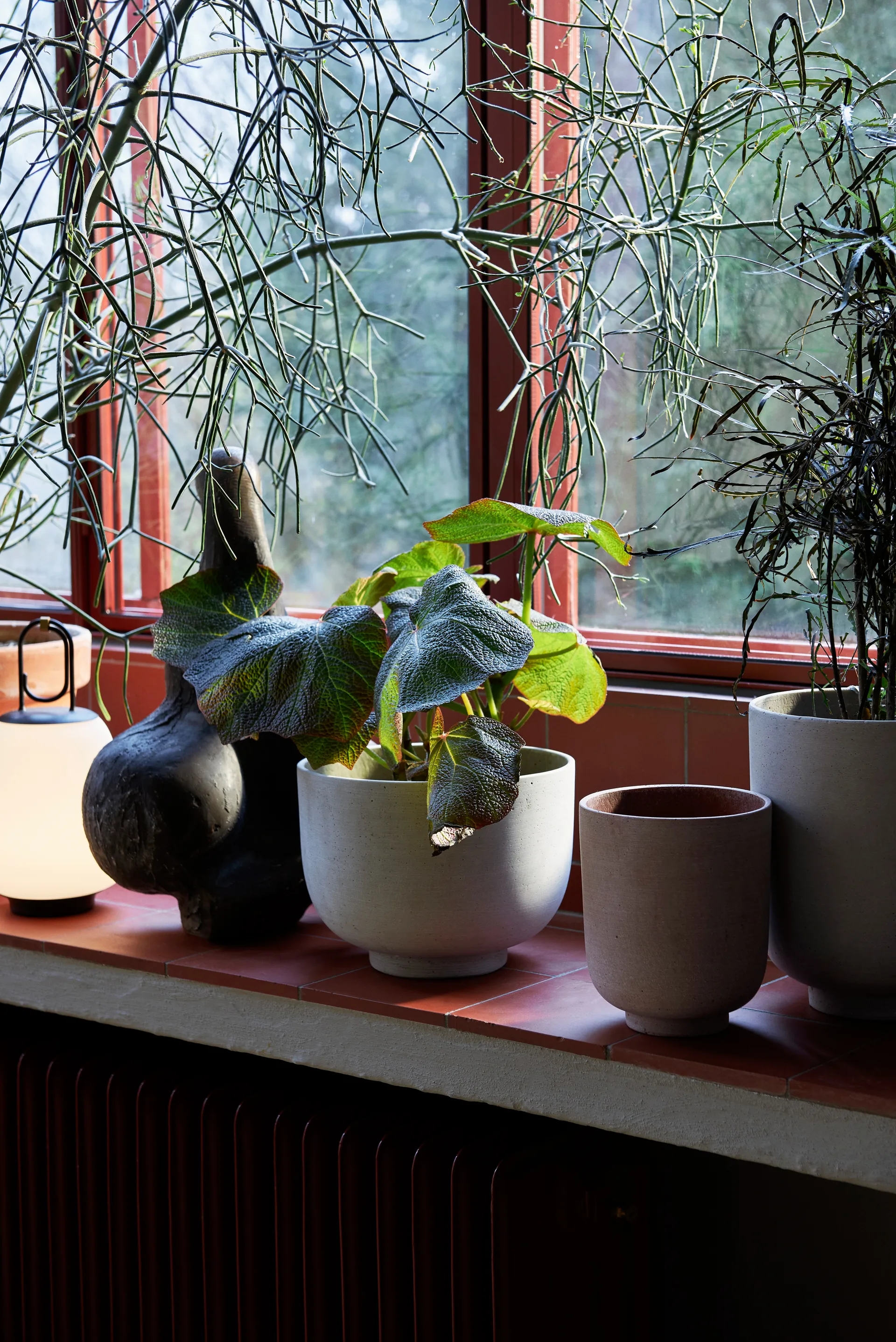 Collect SC71 花盆/盆栽  large Ø24 cm, 牛奶色 &Tradition