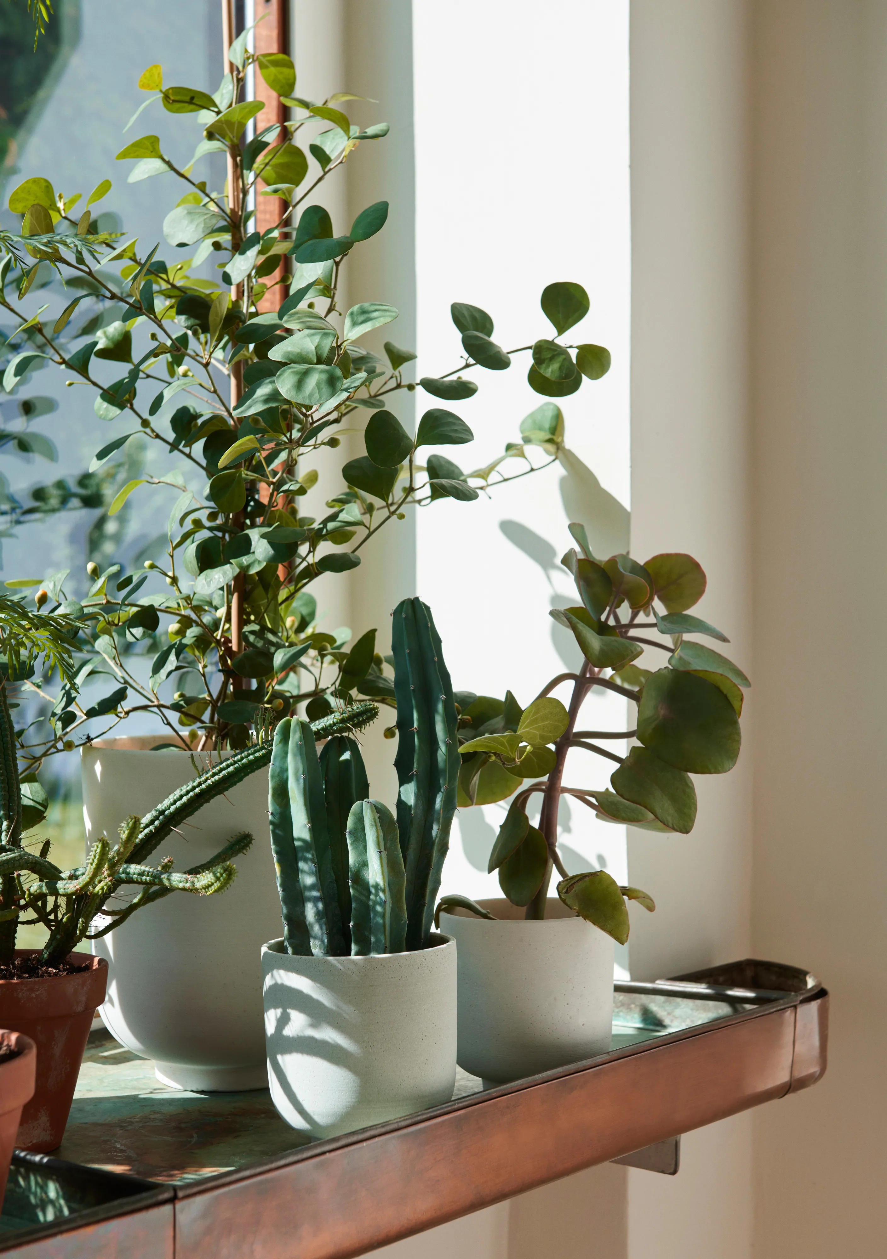 Collect SC72 花盆/盆栽tall Ø20 cm来自&Tradition - nordicnest.cn
