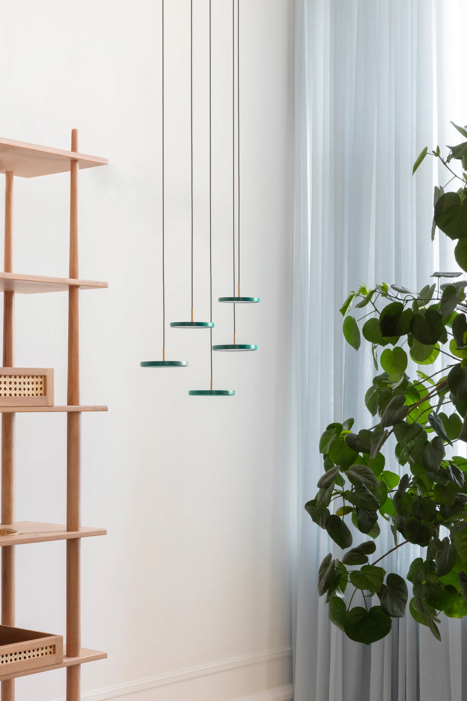 Asteria Micro 吊灯, Forest 绿色 Umage