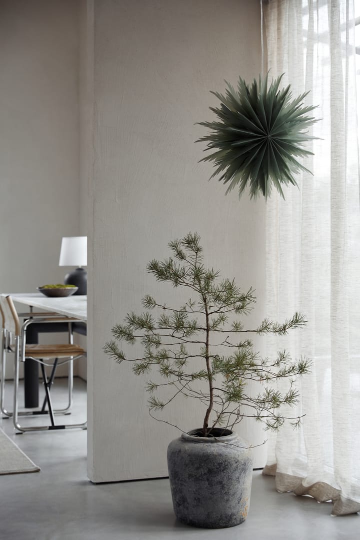 Liz advent star Ø50 cm, 绿色 Watt & Veke