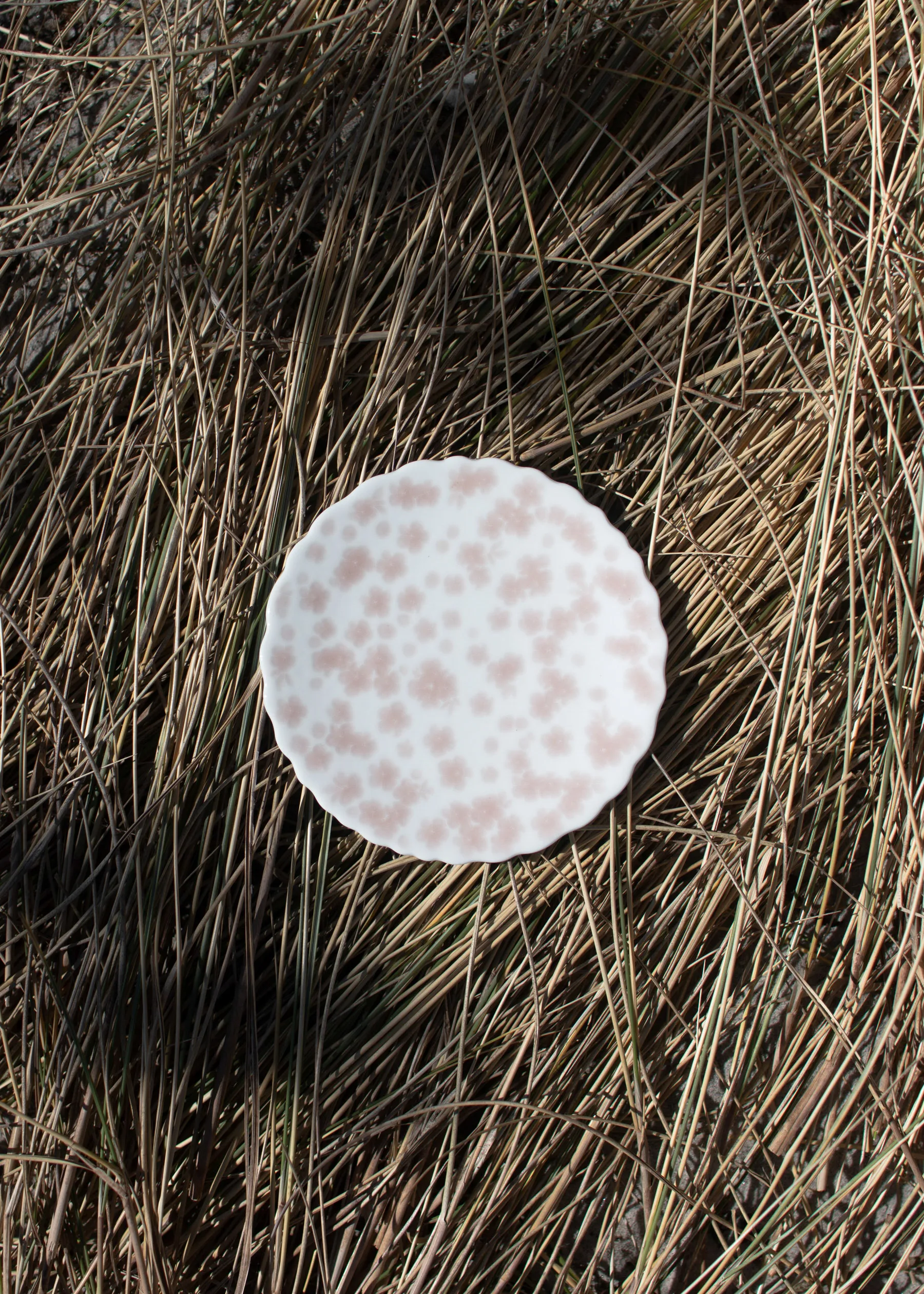 Slåpeblom 盘子 Ø13 cm, 粉色 Wik & Walsøe