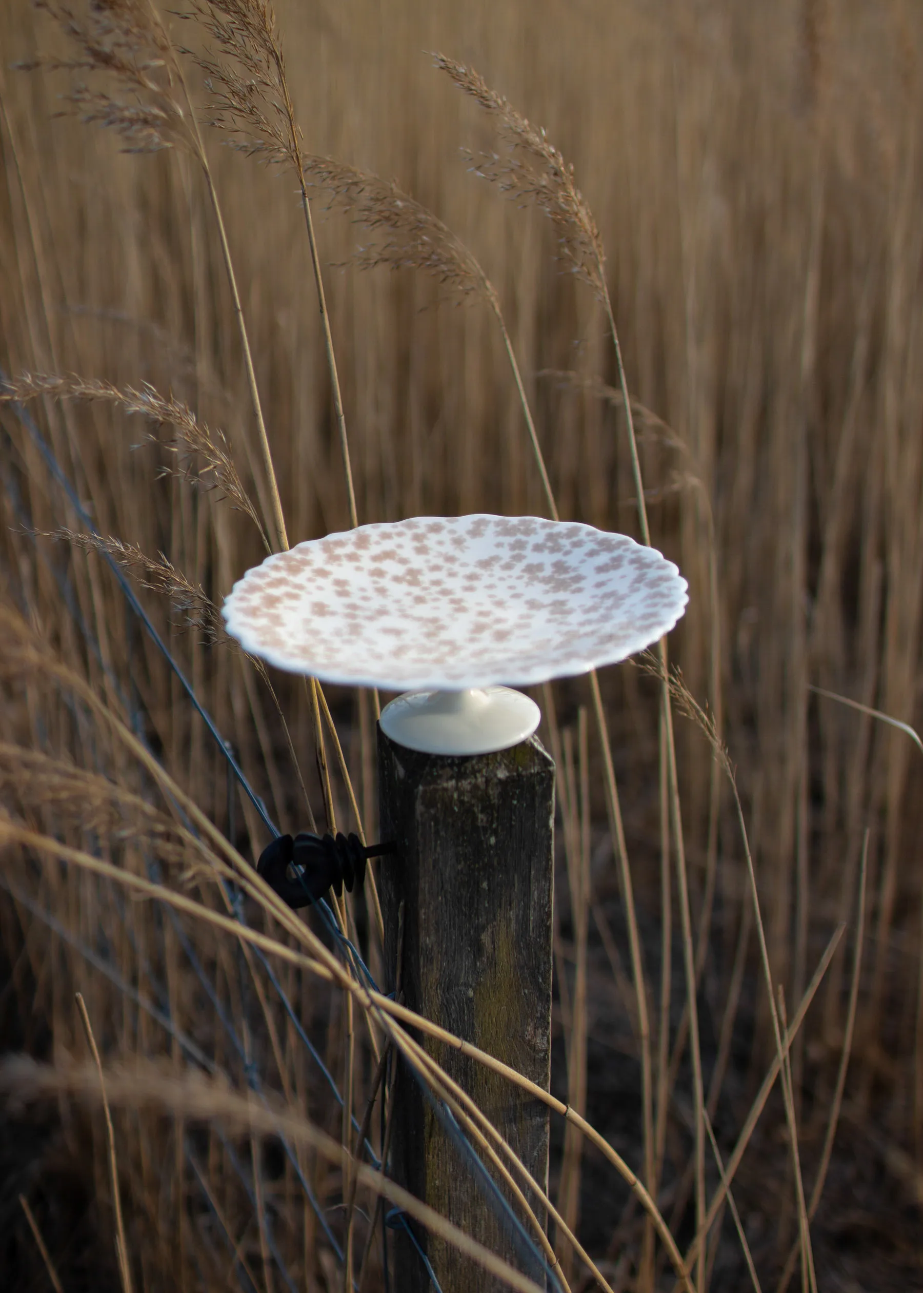 Slåpeblom 蛋糕盘 Ø21 cm, 粉色 Wik & Walsøe