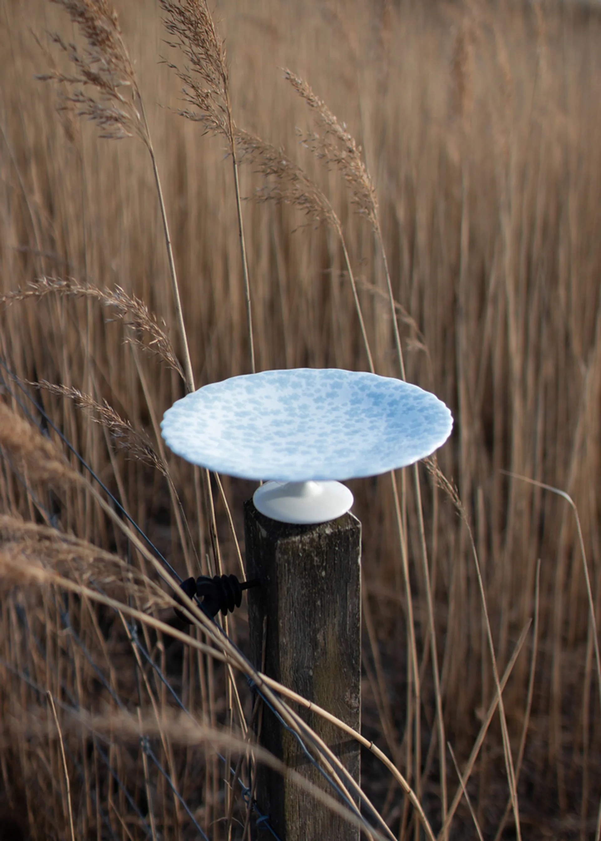 Slåpeblom 蛋糕盘 Ø21 cm, 蓝色 Wik & Walsøe