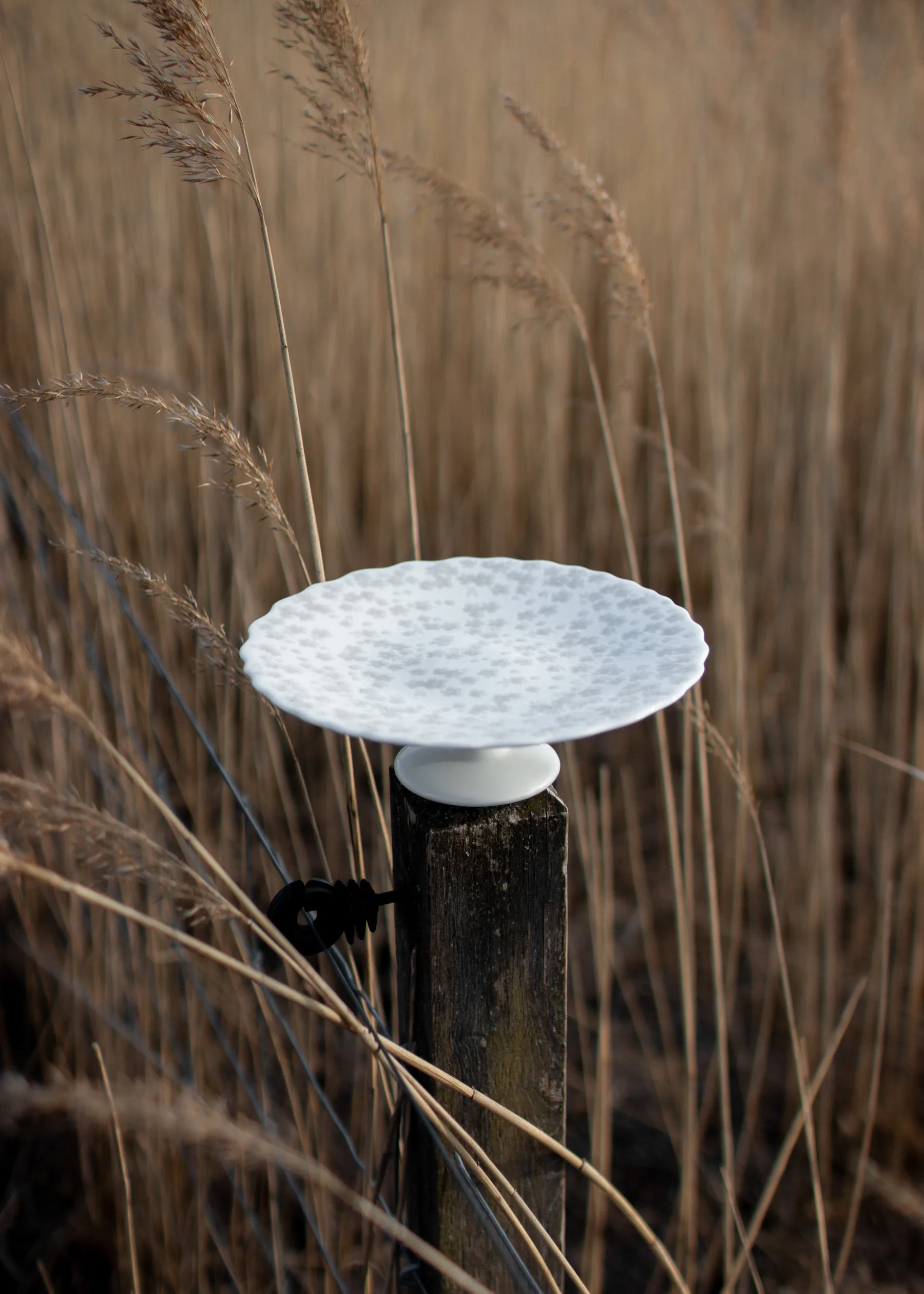 Slåpeblom 蛋糕盘 Ø21cm, 灰色 Wik & Walsøe