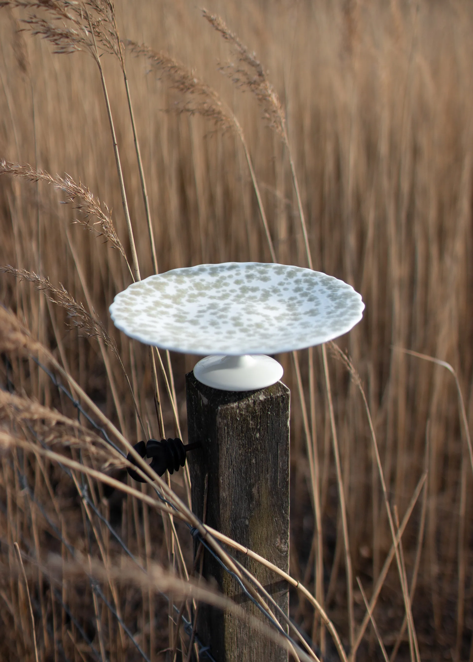 Slåpeblom 蛋糕盘 Ø21cm, 绿色 Wik & Walsøe