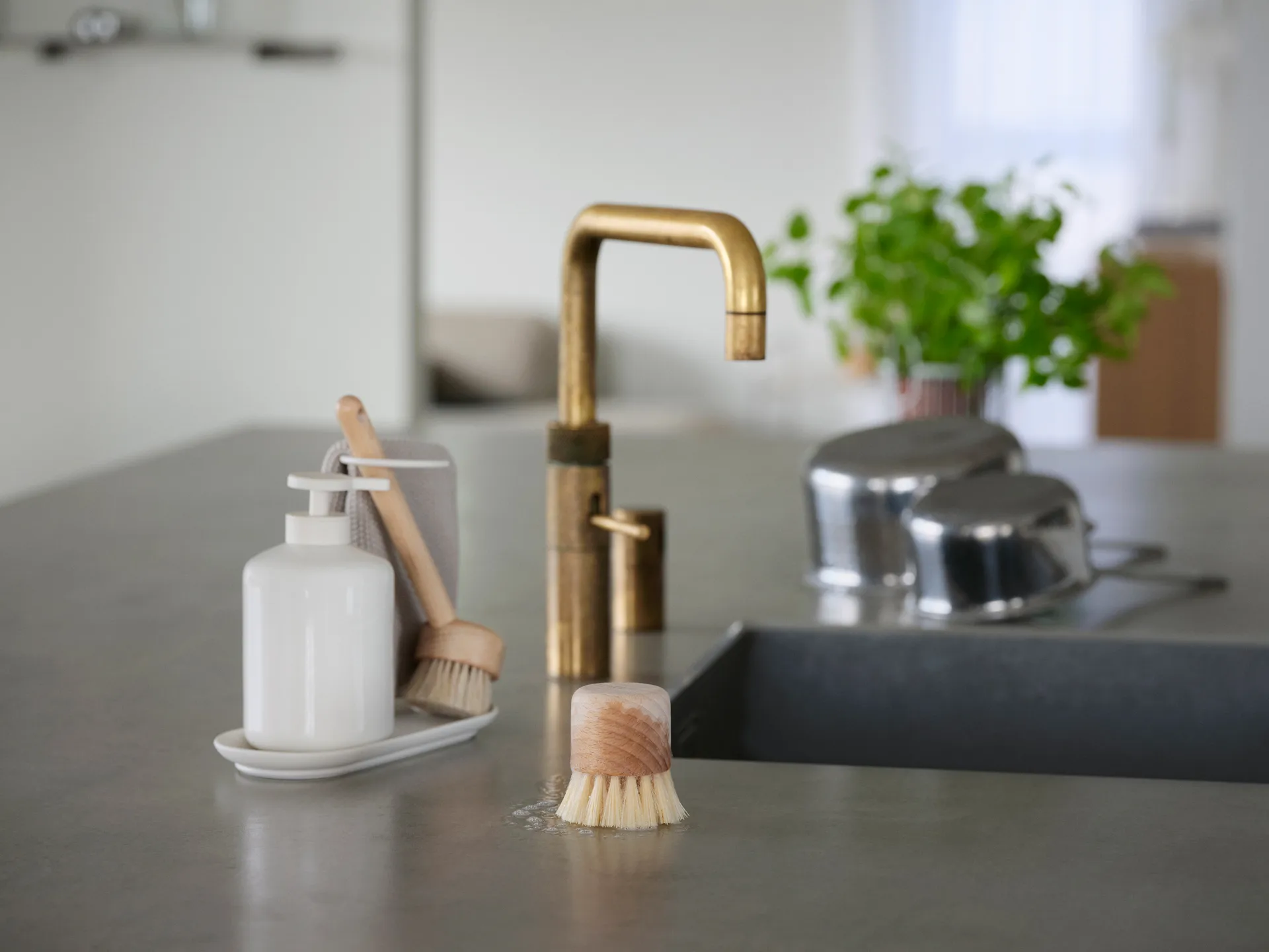 Inu 洗碗刷, Beech Zone Denmark