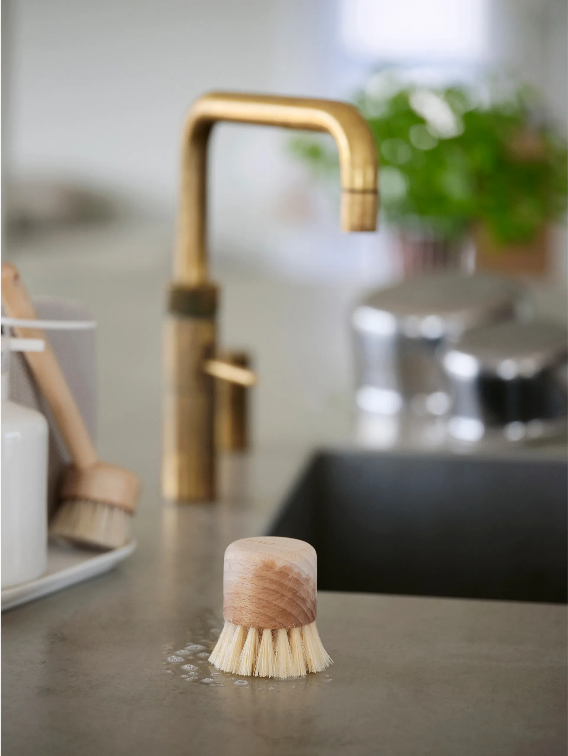 Inu 洗碗刷, Beech Zone Denmark