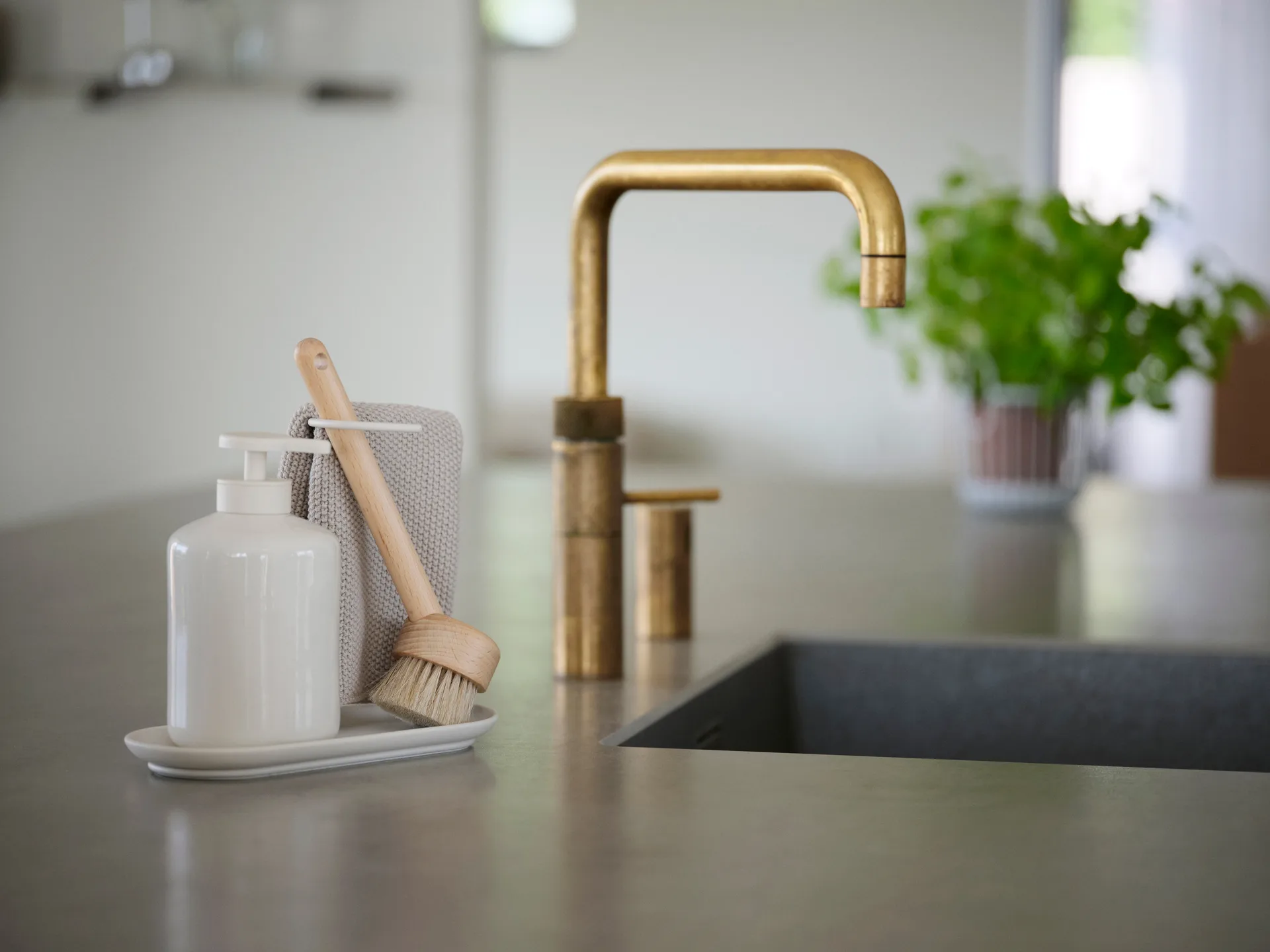 Inu 洗碗刷, Beech Zone Denmark