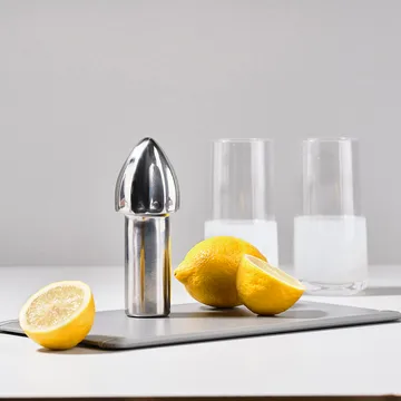 Rocks citrus press - 不锈钢 - Zone Denmark