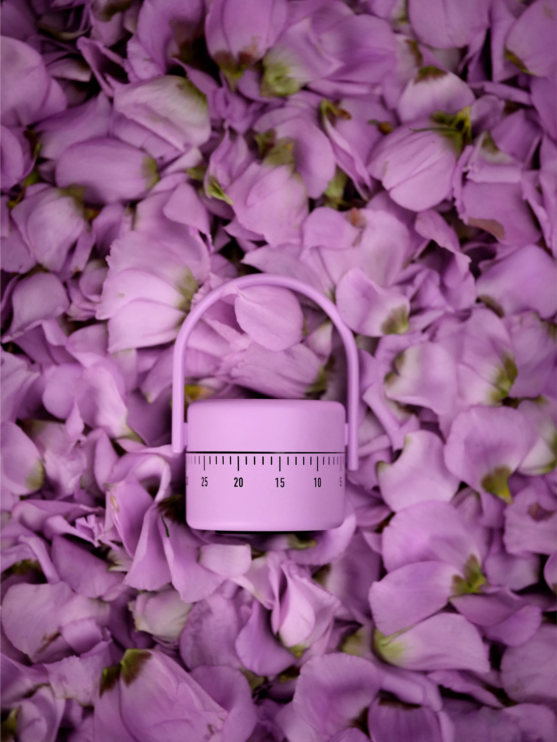 Zone Singles 厨房计时器, Lupin Zone Denmark